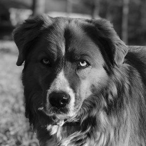 Meet your Posher, Tim